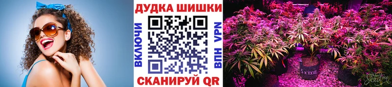 Бошки марихуана планчик  Купить где  Новопавловск 